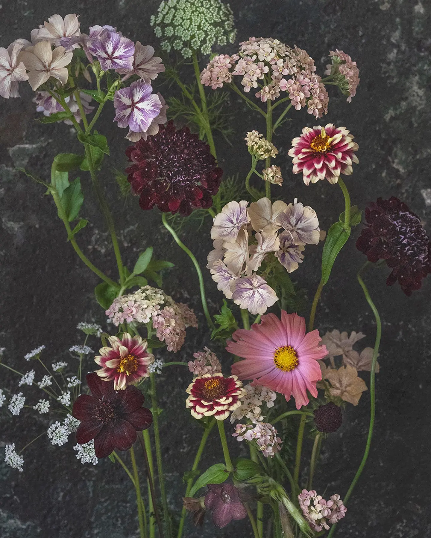 Keetta Jarvenpaa. Artist, floral art photographer.