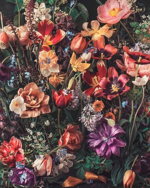 Kreetta Jarvenpaa: Capturing Floral Beauty Through Art