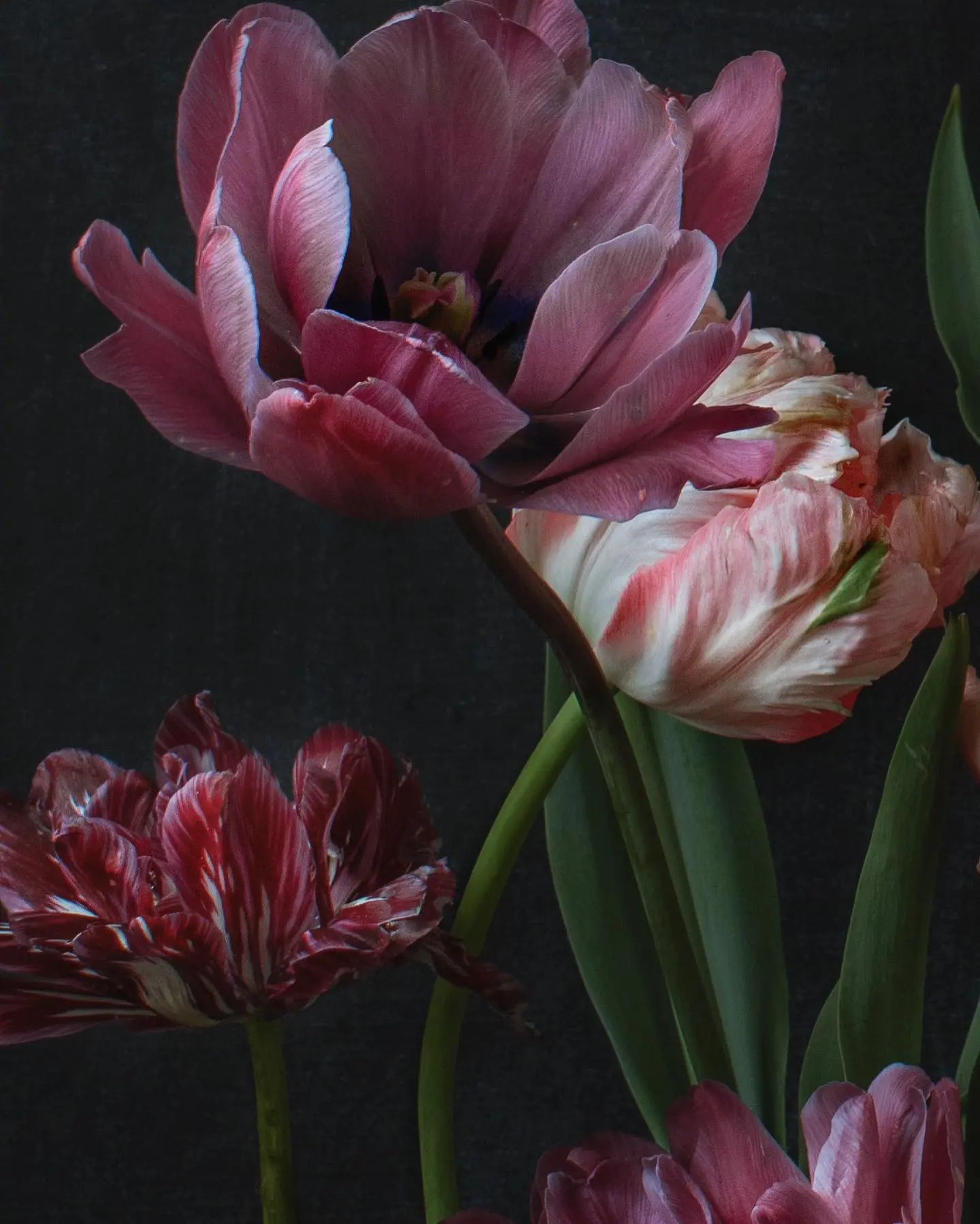 Keetta Jarvenpaa. Artist, floral art photographer.