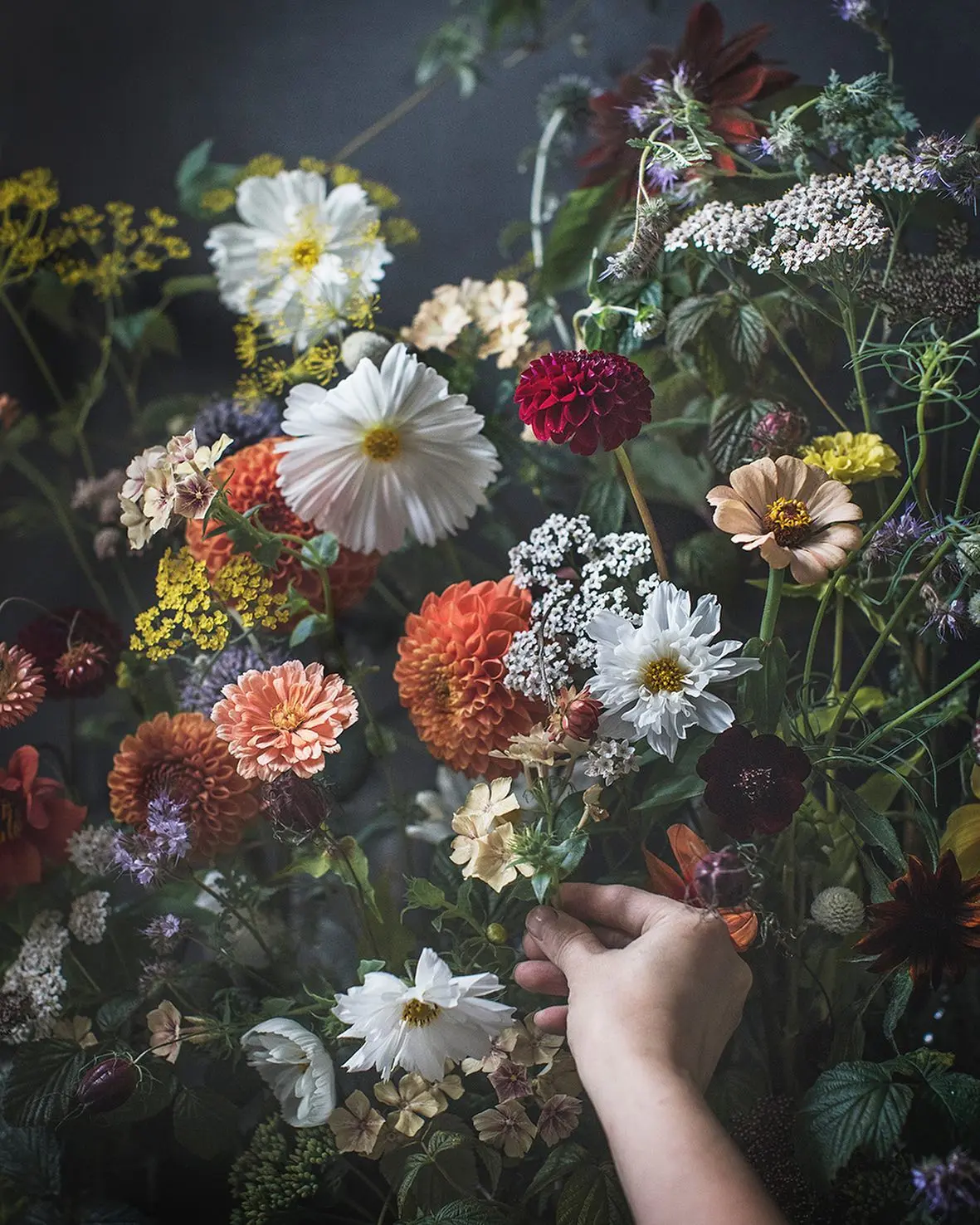 Keetta Jarvenpaa. Artist, floral art photographer.